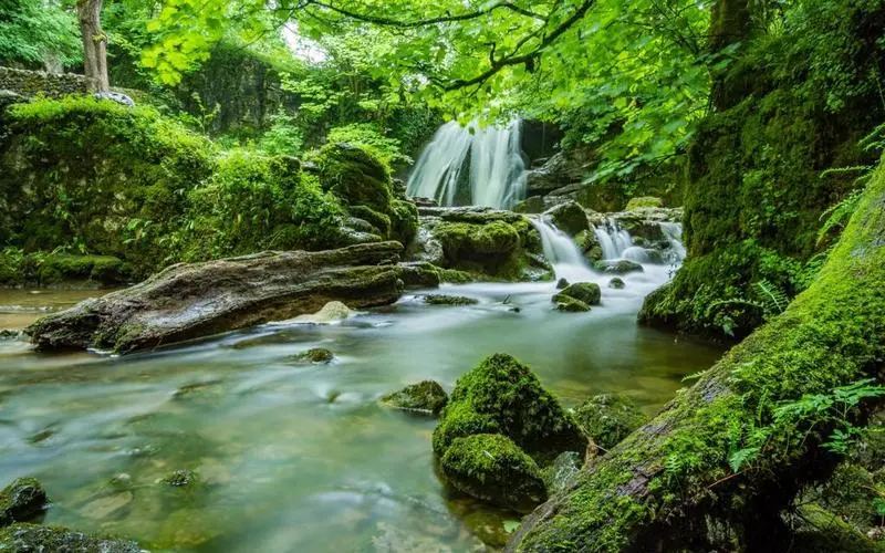 电子节能智慧